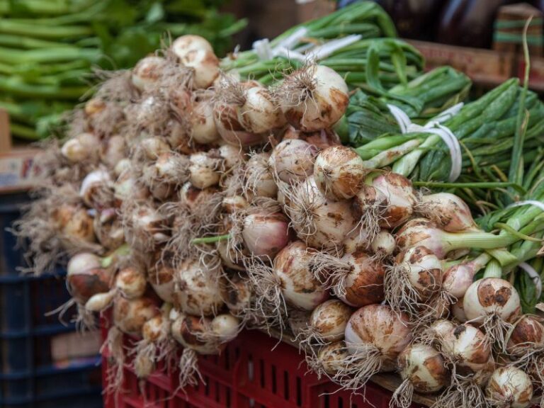 Wochenmarkt in Iglesias - Mercato di Iglesias
