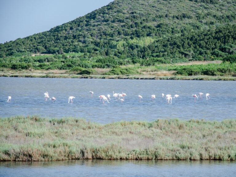 Wochenmarkt in Masainas - Mercato di Masainas