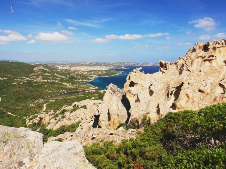 Wochenmarkt in Palau - Mercato di Palau