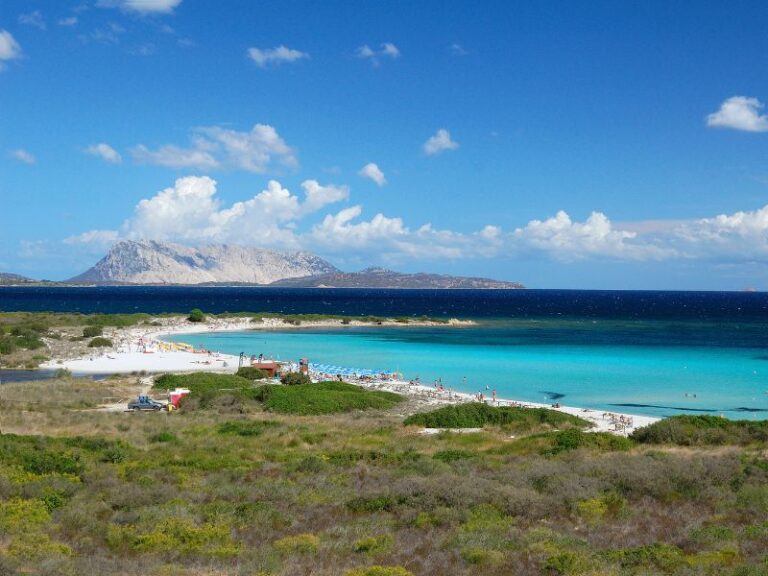 Wochenmarkt in San Teodoro - Mercato di San Teodoro